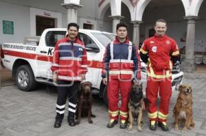 CRUZ ROJA . CERTIFICACIÓN K9