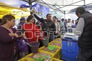 COMPRAS FESTEJO AÑO NUEVO