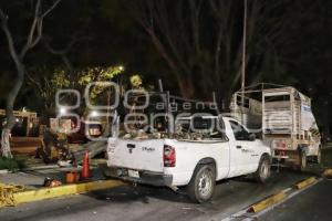 CAÉ ÁRBOL EN BULEVAR 5 DE MAYO