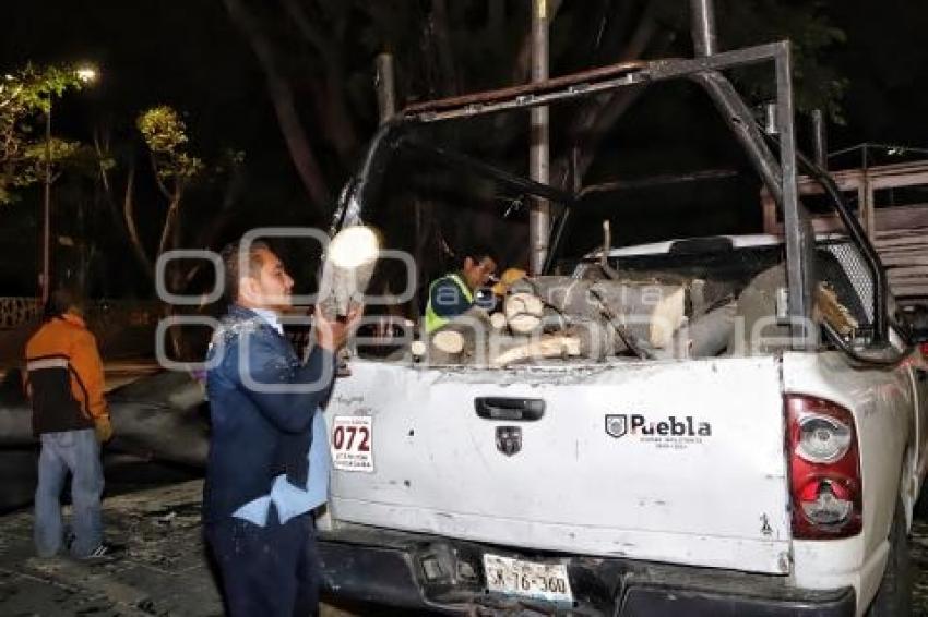 CAÉ ÁRBOL EN BULEVAR 5 DE MAYO