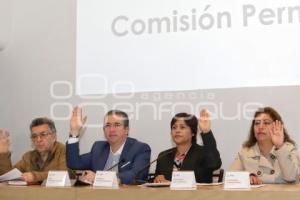 CONGRESO . COMISIÓN PERMANENTE