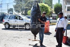 RECICLAJE ÁRBOLES NAVIDAD