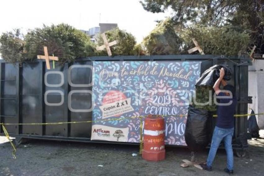 RECICLAJE ÁRBOLES NAVIDAD