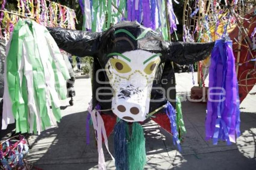 DESFILE DE TORITOS