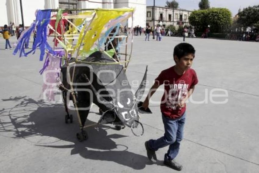 DESFILE DE TORITOS