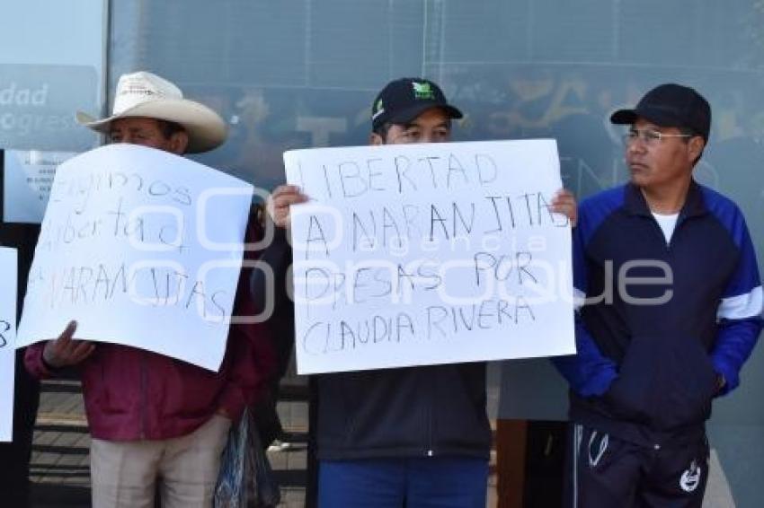 MANIFESTACIÓN NARANJITAS