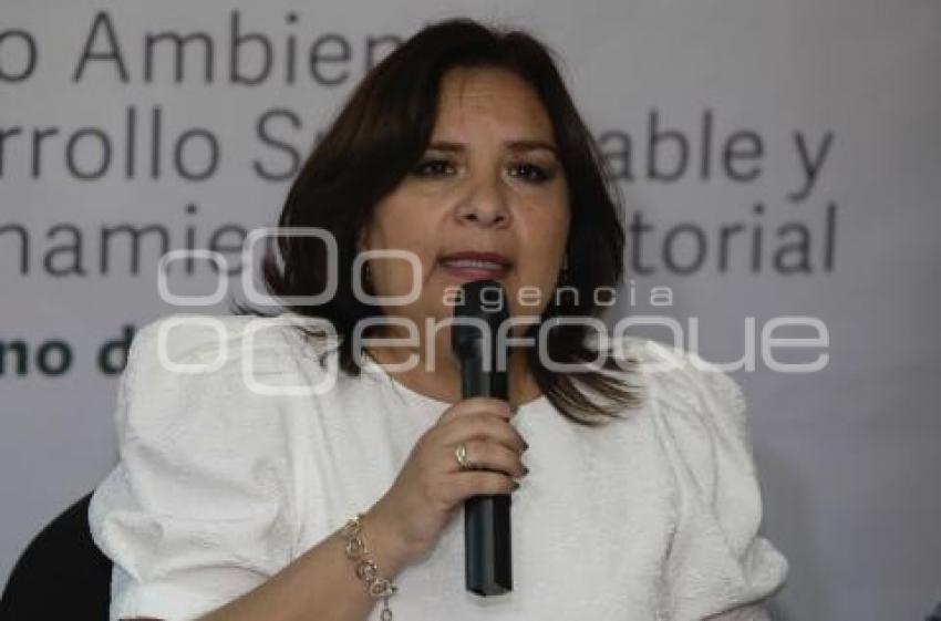 MEDIO AMBIENTE . BEATRIZ MANRIQUE