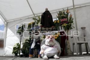 SAN ANTONIO . BENDICIÓN ANIMALES