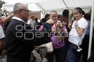 SAN ANTONIO . BENDICIÓN ANIMALES