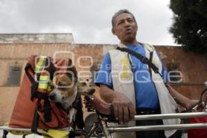 SAN ANTONIO . BENDICIÓN ANIMALES