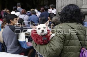 BENDICIÓN MASCOTAS