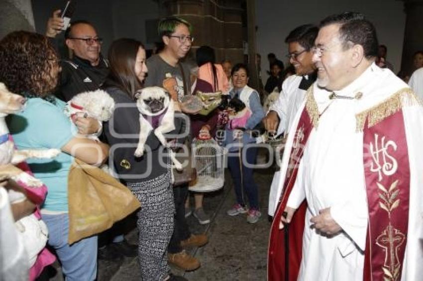 BENDICIÓN MASCOTAS