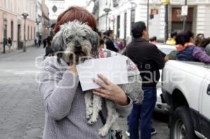 BENDICIÓN MASCOTAS