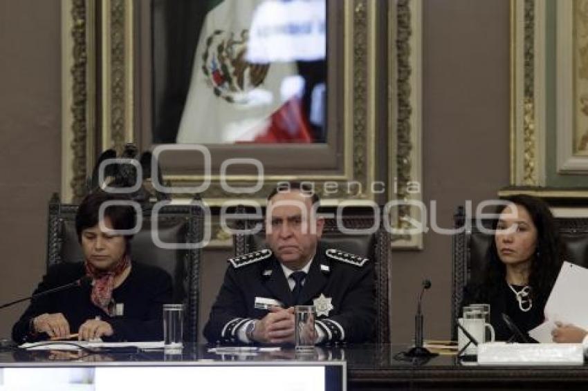 CONGRESO . COMPARECENCIA SEGURIDAD