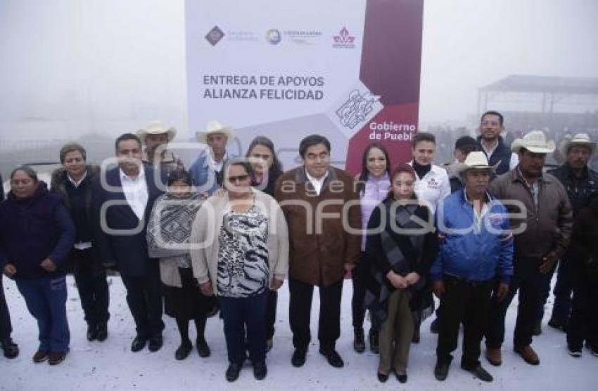 APOYOS ALIANZA FELICIDAD