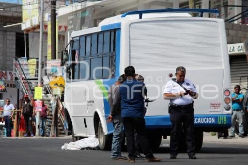 MUERE MUJER ATROPELLADA 