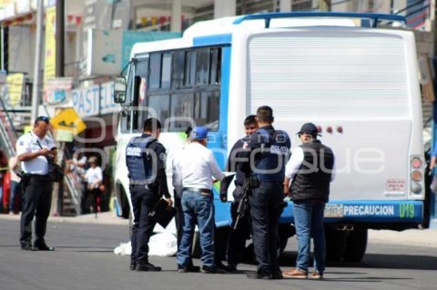 MUERE MUJER ATROPELLADA
