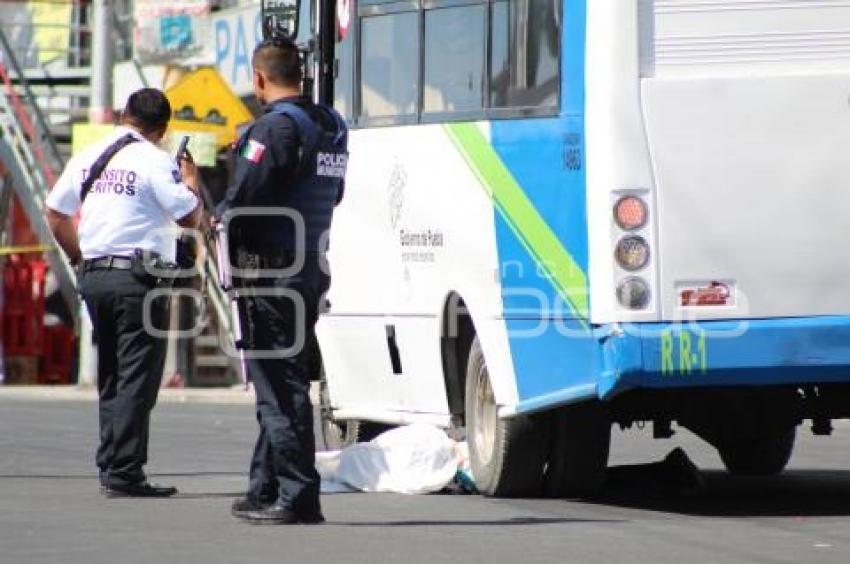 MUERE MUJER ATROPELLADA