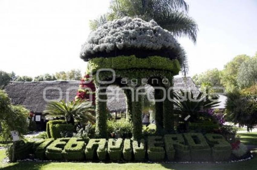 VIVEROS DE ATLIXCO