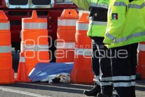 TRABAJADOR ATROPELLADO . AUTOPISTA