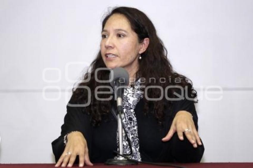 MARÍA TERESA CASTRO