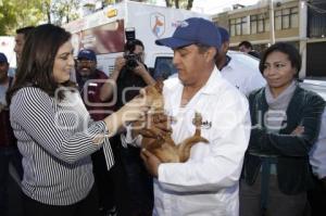 VEHÍCULOS PROTECCIÓN ANIMAL