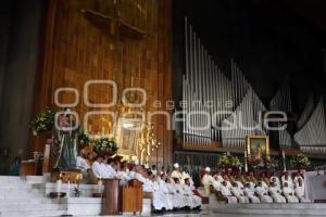 PEREGRINACIÓN BASÍLICA DE GUADALUPE