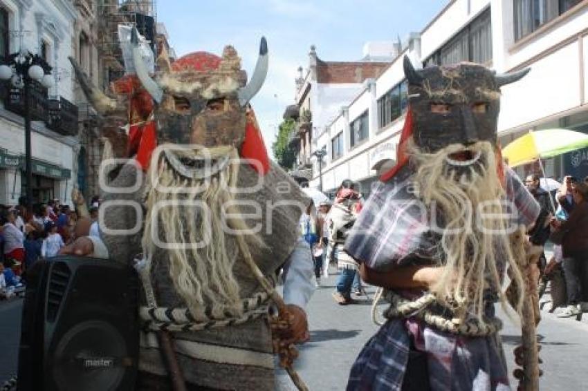 DESFILE DE HUEHUES