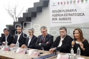 AGENDA ESTRATÉGICA SUR-SURESTE