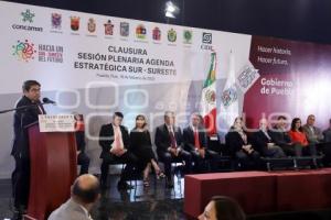 CLAUSURA SESIÓN PLENARIA SUR-SURESTE