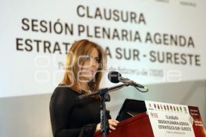 CLAUSURA SESIÓN PLENARIA SUR-SURESTE