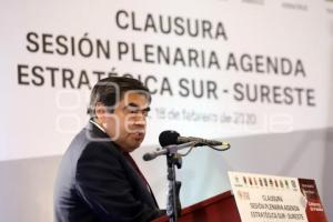 CLAUSURA SESIÓN PLENARIA SUR-SURESTE