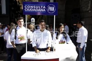 PAN . CONSULTA CIUDADANA