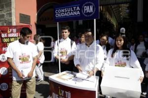 PAN . CONSULTA CIUDADANA