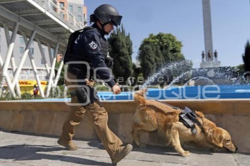 DÍA DE LA MUJER . POLICIA