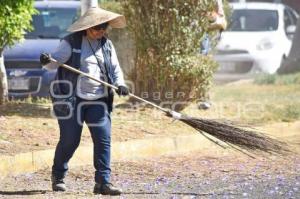 DÍA DE LA MUJER . BARRENDERA