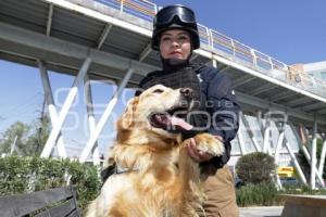 DÍA DE LA MUJER . POLICIA