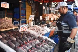 PESCADOS  Y MARISCOS