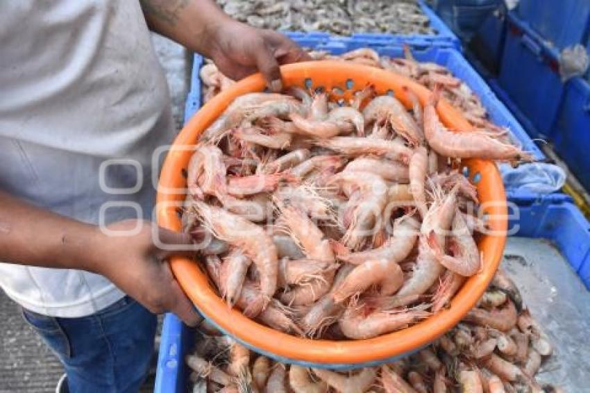 PESCADOS  Y MARISCOS