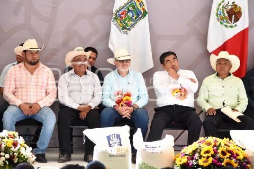 GOBIERNO ESTATAL . CAMPO AJALPAN