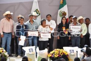 GOBIERNO ESTATAL . CAMPO AJALPAN