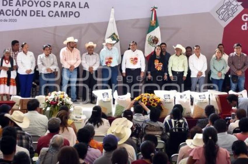 GOBIERNO ESTATAL . CAMPO AJALPAN