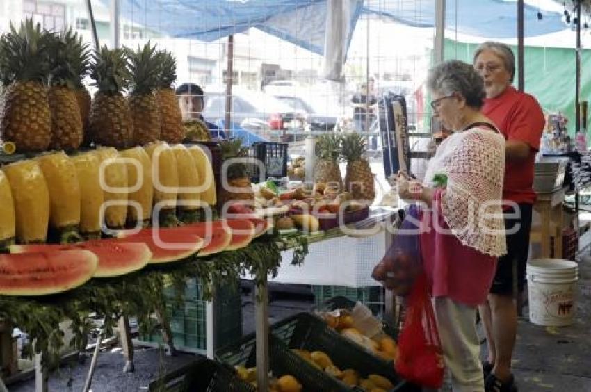 MERCADO ZAPATA . VENTAS