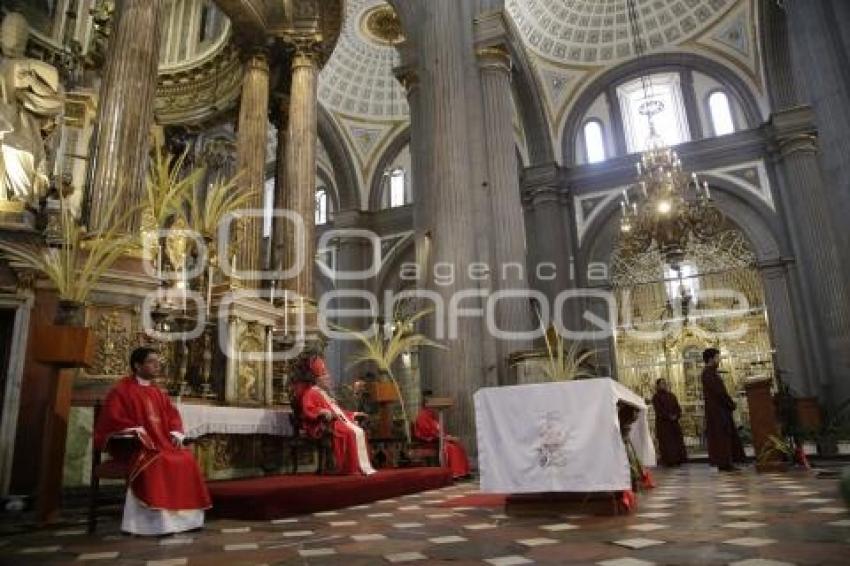 DOMINGO DE RAMOS . CATEDRAL