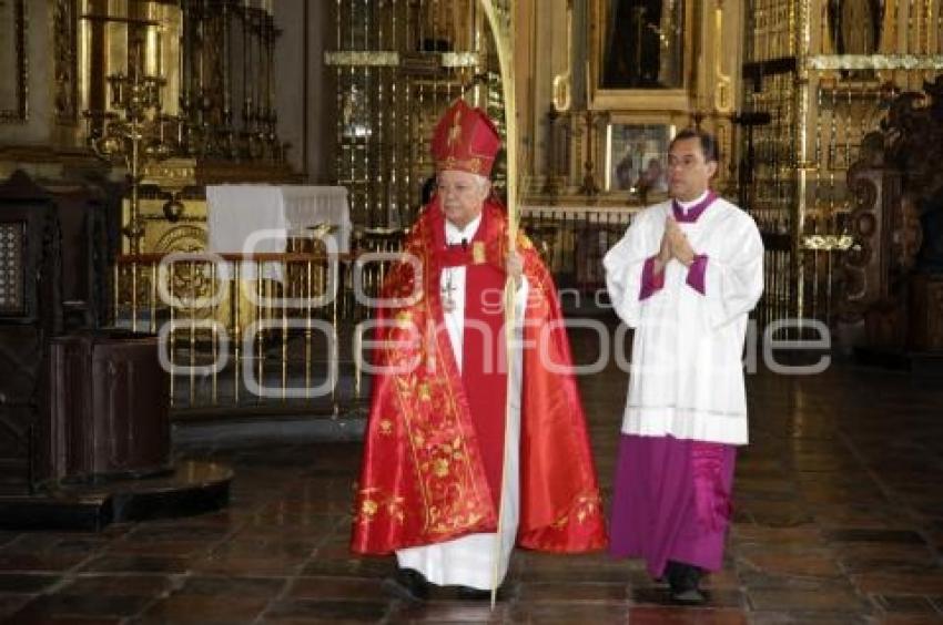 DOMINGO DE RAMOS . CATEDRAL