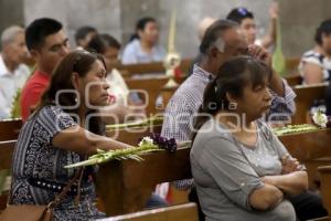 DOMINGO DE RAMOS