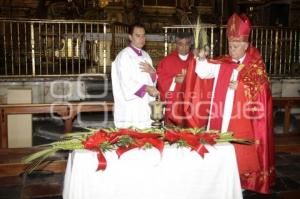 DOMINGO DE RAMOS . CATEDRAL