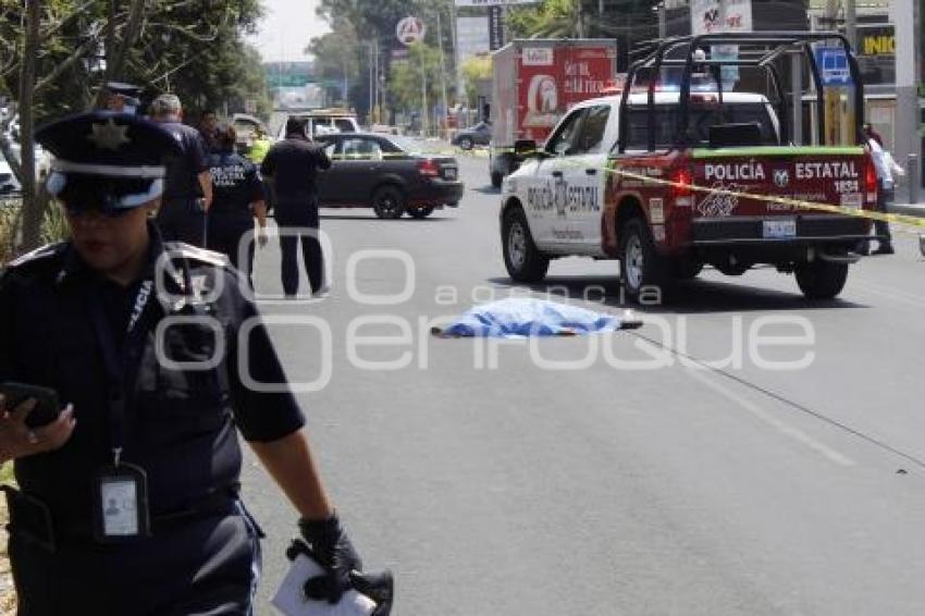 NOTA ROJA . MUJER ATROPELLADA