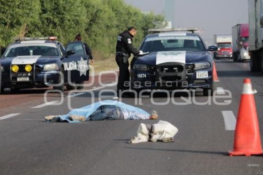 ATROPELLADO . AUTOPISTA