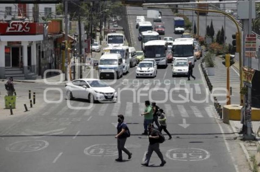 TRÁFICO VEHICULAR